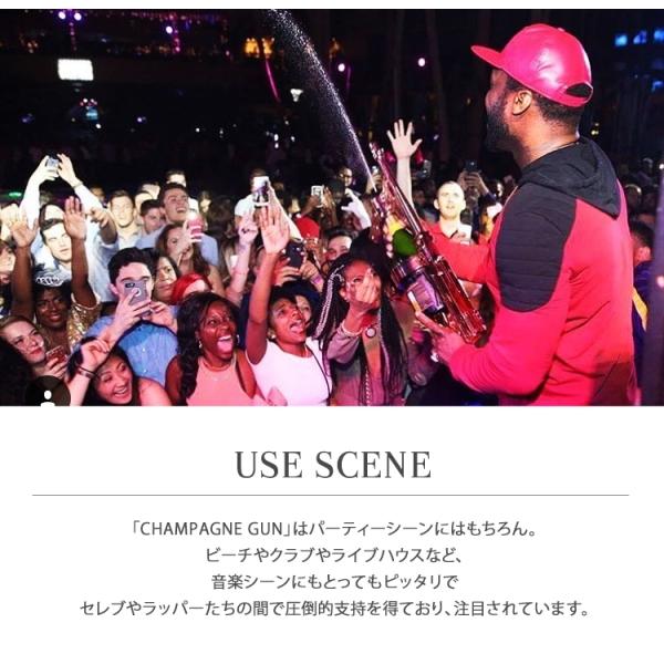 CHAMPAGNE GUN シャンパンガン シャンパンシャワー ドンペリ二ヨン