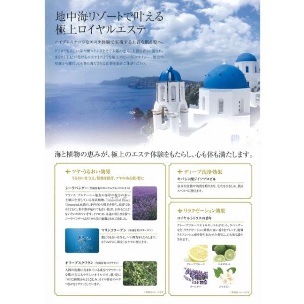 POLA ポーラ エステロワイエ クレンジングウォッシュ メーク