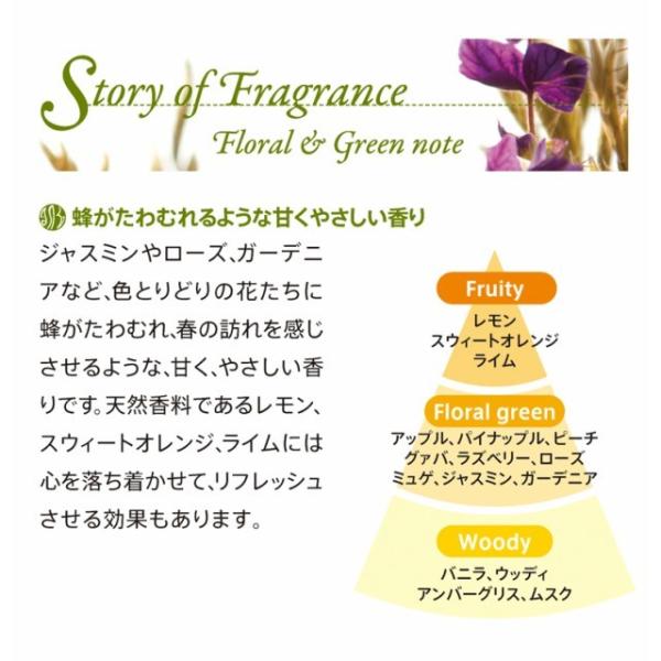 POLA ポーラ シャワーブレイクプラス 【旧タイプ】シャンプー