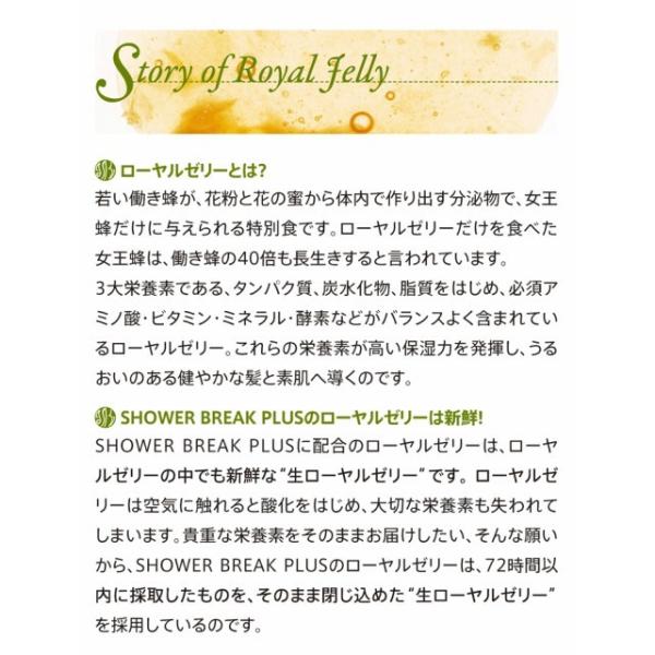 POLA ポーラ シャワーブレイクプラス 【旧タイプ】シャンプー
