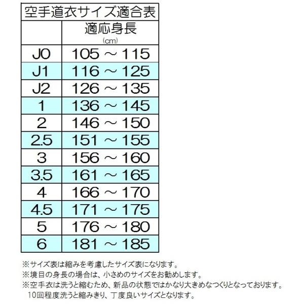 サイズ110cm用のみ 上下名前刺繍付き ミズノ空手着 上下セット帯なし