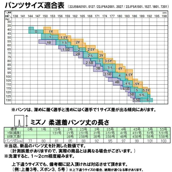 IJF・全柔連新規格対応】上(2文字)下(2文字)名前刺繍付き ミズノ 柔道