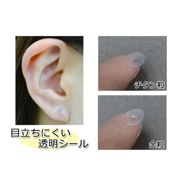 l*︎様 耳ツボシート金粒5シート（100粒）