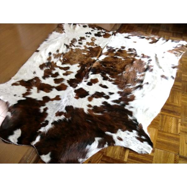 特大カウラグ 綺麗 希少 三毛 トリコロール 約198×175cm 牛皮 