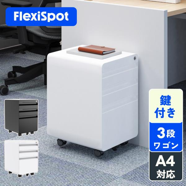 オフィスワゴン(FlexiSpot)