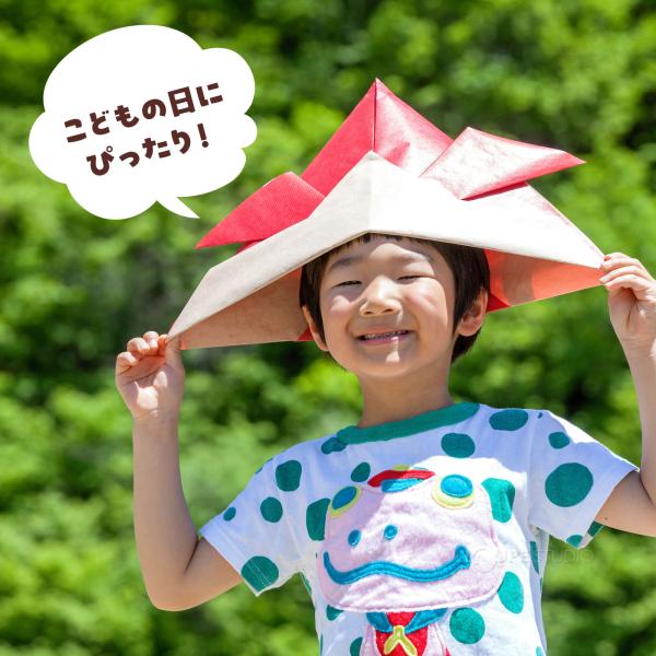 こいのぼり12m7m6mセット こいのぼり12m7m6mセット こいのぼり12m7m6mセット