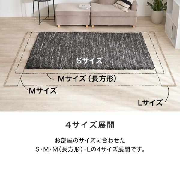 レディー　ラグ　カーペット to_tor3807_top_01.jpg