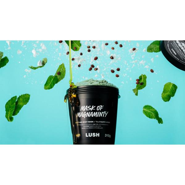 LUSH ラッシュ 公式 パワーマスクSP 125g 合成保存料不使用 フェイス