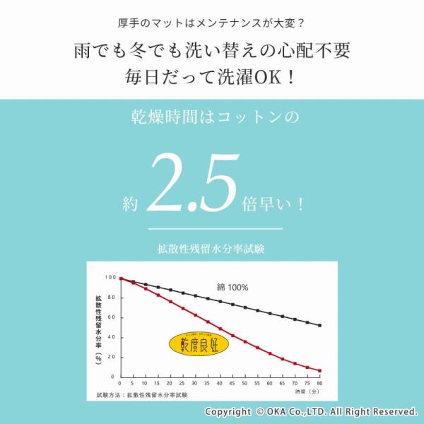 バスマット お試し価格 吸水 速乾 乾度良好 カラフルミニ バスマット