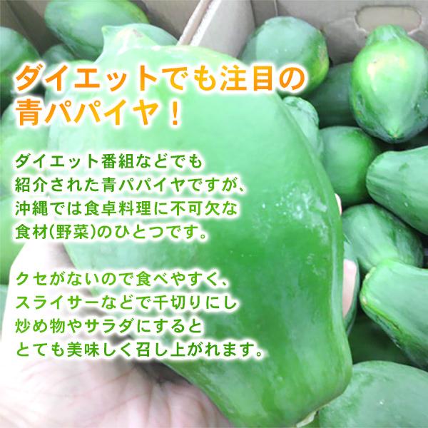沖縄産 青パパイヤ 約2kg（2〜4玉） /沖縄野菜（送料無料） /【Buyee