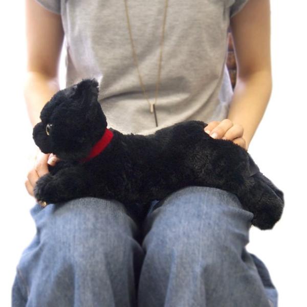 黒ねこ M 楽天市場】ケーセン ぬいぐるみ kosen 黒猫 立ち 40cm Mauz