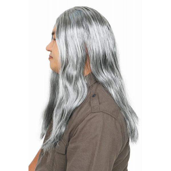 カツランド 白髪ロン毛 かつら コスプレ ウィッグ 長髪 ロンゲ