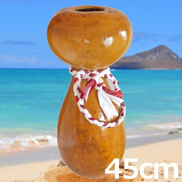 フラダンス イプ ハワイ楽器 スっ