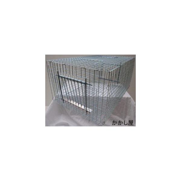 バードトラップ ドバトの捕獲に 折り畳み式 新品即決 害虫駆除、虫よけ