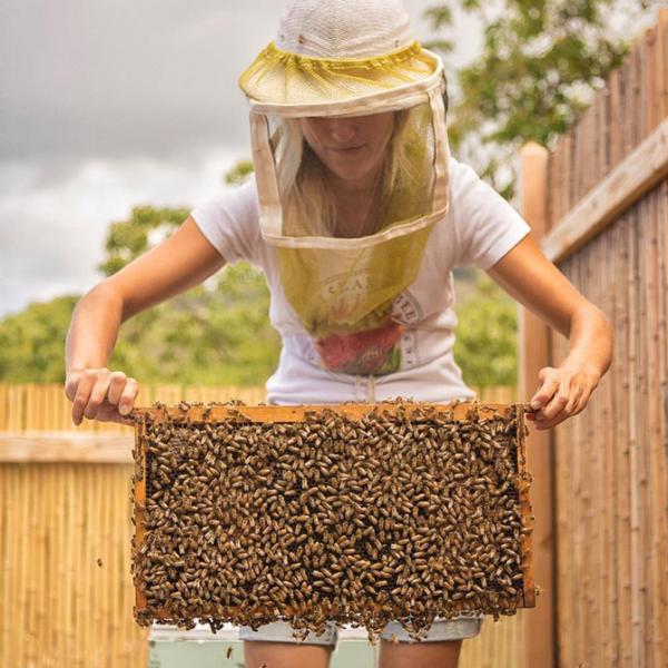 ビッグアイランドビー ハワイ オヒアレフアハニー 1個 255g【big island bees ハワイ はちみつ 天然 オーガニック 美容  ハワイアン フード】 /【Buyee】 Buyee Japanese Proxy Service Buy from Japan!