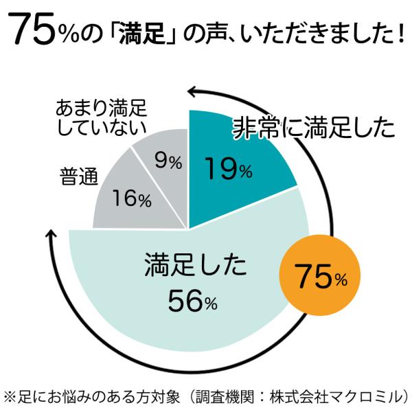 足枕 むくみ 腰痛 フットピロー あしまくら ふくらはぎ 低反発 イノアック 日本製 エアロフロー 足まくら /【Buyee】 Buyee -  Japanese Proxy Service | Buy from Japan!