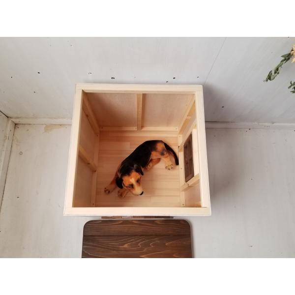手渡し歓迎.工務店特注,こだわり設計,犬小屋,半額以下,美品,木製,塗装,要相談 手渡し歓迎.工務店特注,こだわり設計,犬小屋,半額以下,美品,木製,塗装