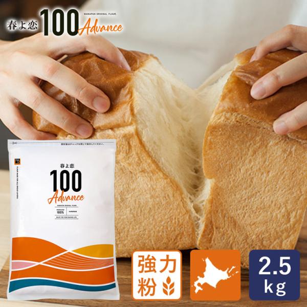 強力粉 春よ恋100Advance 北海道産パン用小麦粉 2.5kg 国産小麦粉 パン