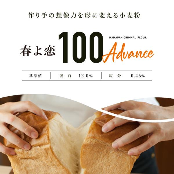 送料込み春よ恋100Advance 2.5kg×4 北海道産パン用小麦粉送料無料