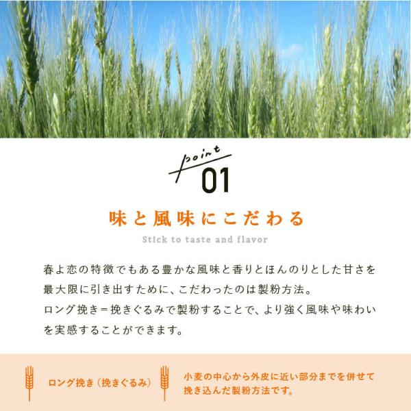 強力粉 春よ恋100Advance 北海道産パン用小麦粉 2.5kg 国産小麦粉 パン