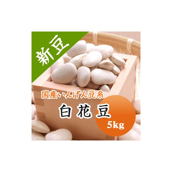 豆白花豆送料無料北海道産令和7年産5kg 業務用/【Buyee】