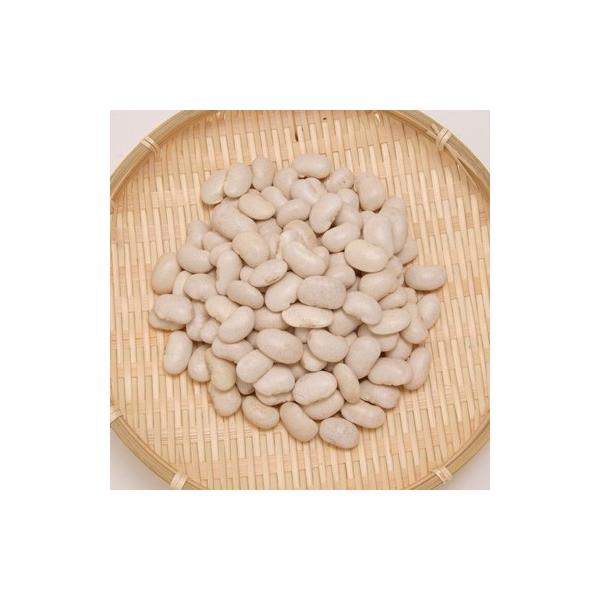 豆白花豆送料無料北海道産令和7年産5kg 業務用/【Buyee】