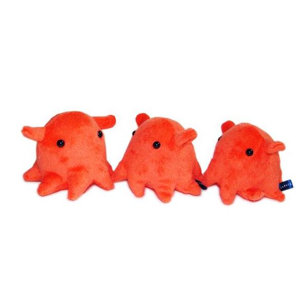 メンダコのぬいぐるみ 水族館 グッズ おみやげ 深海魚 A-SHOW