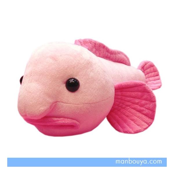 ニュウドウカジカのぬいぐるみ 水族館 グッズ おみやげ A-SHOW（栄商