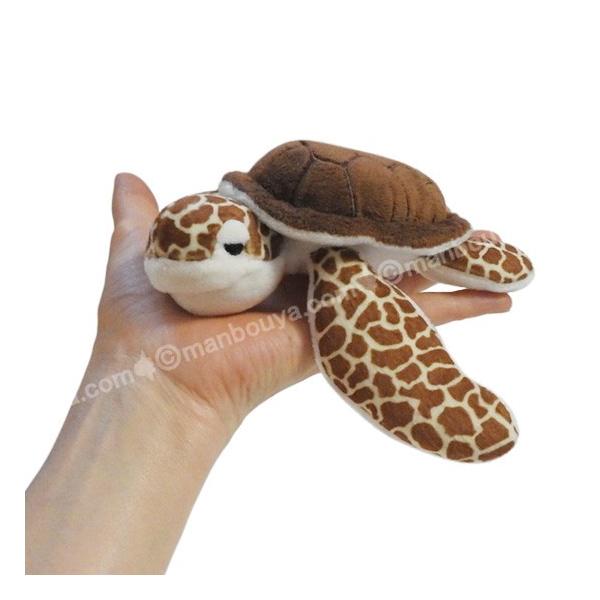 アカウミガメ　ぬいぐるみ カメ グッズ ぬいぐるみ 海亀 キュート販売 CUTE マリン