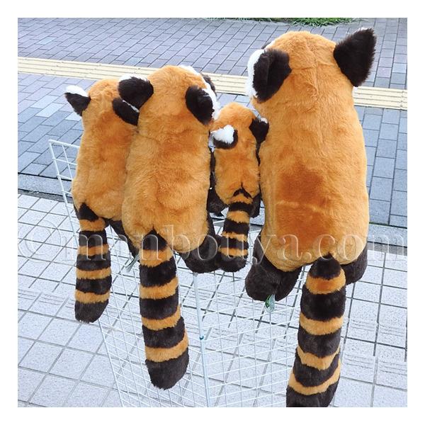 5％OFF レッサーパンダ ぬいぐるみ 動物園 おみやげ キュート