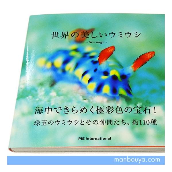 ウミウシガイドブック洋書Nudibranchsウミウシ図鑑