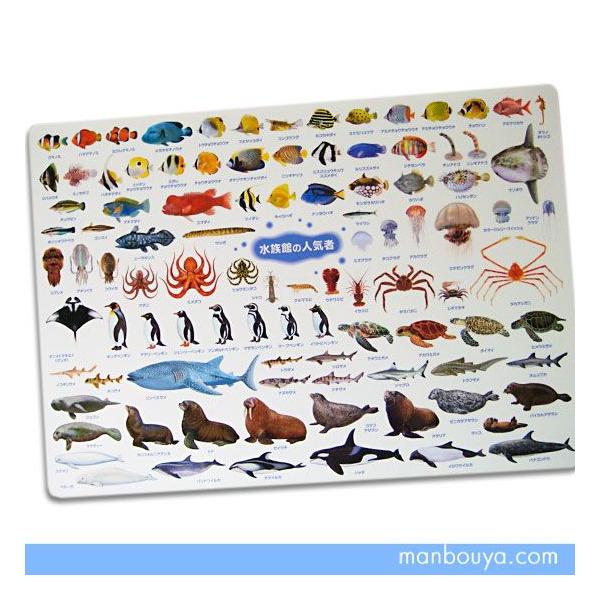 A4サイズ 下敷き 海の生き物 図鑑タイプ したじき 水族館の