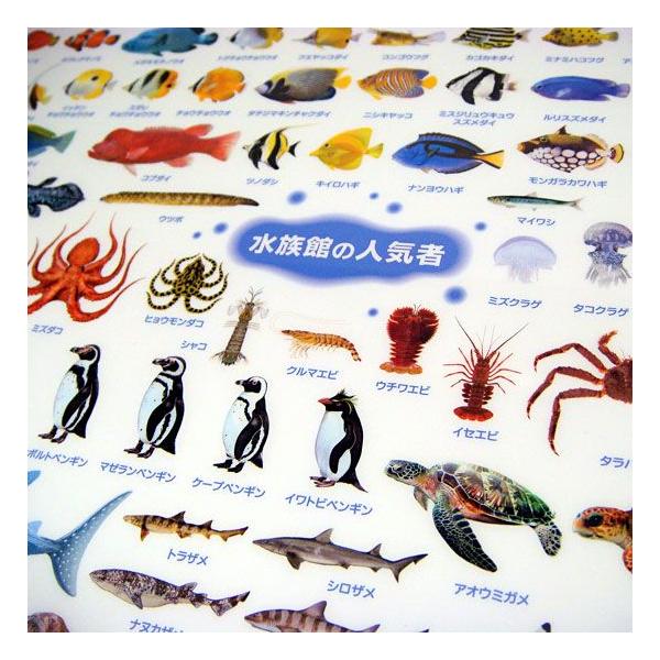 ❌水族館好き(❁ᴗ͈ˬᴗ͈)水族館の生き物 水族館の美しい生きものたち ―Aquarium Gradation― – 丸善