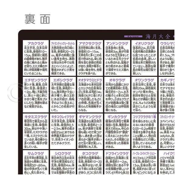 【おさかなくらげ様】専用オーダーページ A4サイズのしたじき クラゲグッズ おもしろ文房具 くらげの図鑑 海月