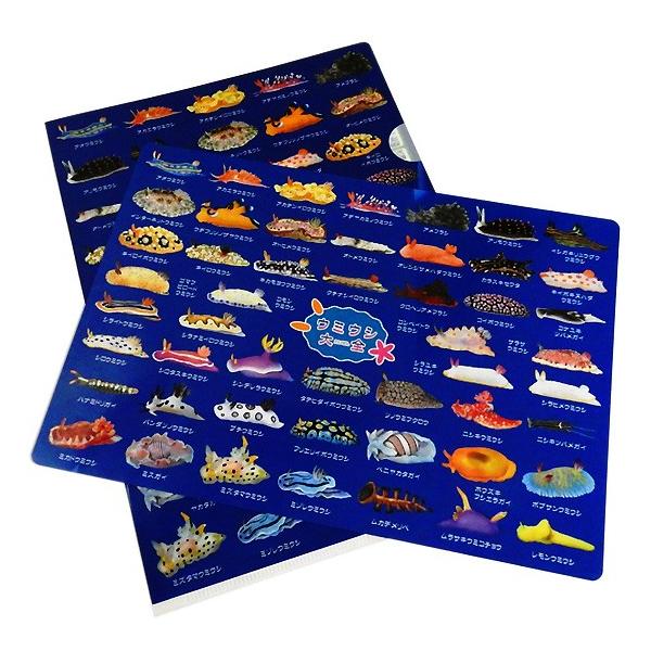 A4 クリアファイル ウミウシ グッズ 海牛 図鑑 ザ・アクセス うみうし