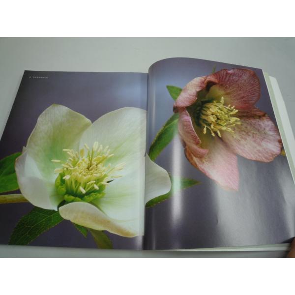 秋山庄太郎 写真集 花 273 写真 デザイン 絵 詩歌 俳句 手芸になる花の