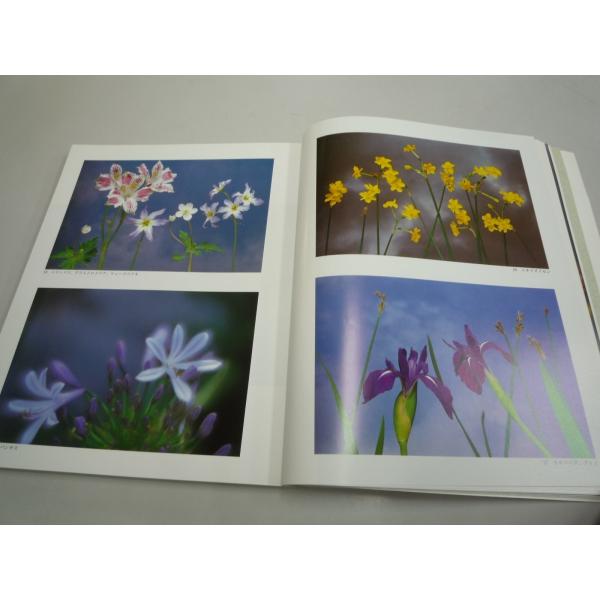 秋山庄太郎 写真集 花 273 写真 デザイン 絵 詩歌 俳句 手芸になる花の