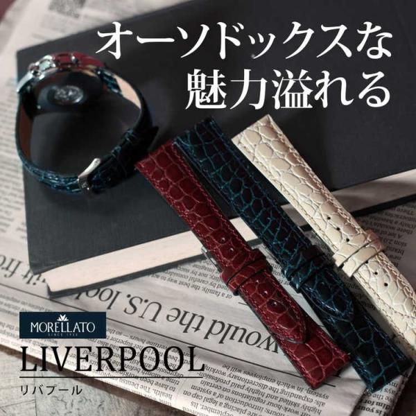 時計バンド オファー liverpool