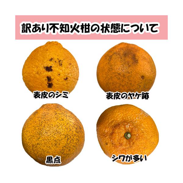 訳あり 不知火柑 約10キロ前後 デコポンと同品種 ご家庭用