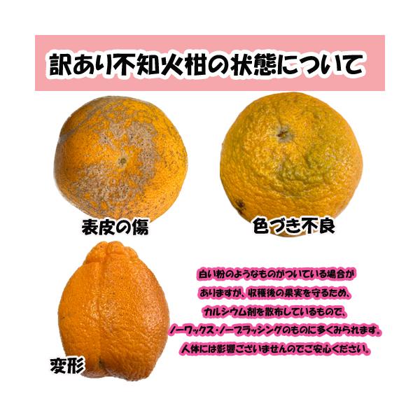 不知火 10キロ もも Amazon.co.jp: 訳あり 不知火柑 約10キロ前後 デコポンと同