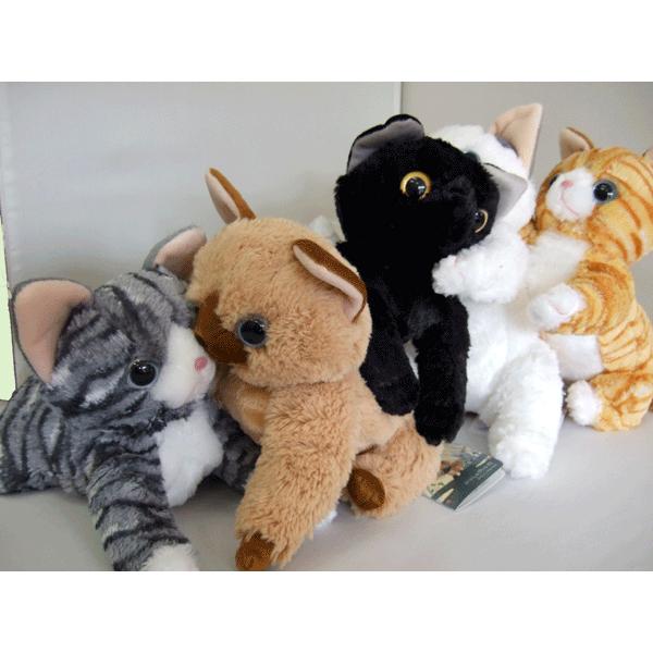 ぬいぐるみ 猫 ねこ ネコ いっしょがいいね 渡辺あきお ビーンズ ぬいぐるみ 猫 ねこ ネコ いっしょがいいね 渡辺あきお ビーンズ