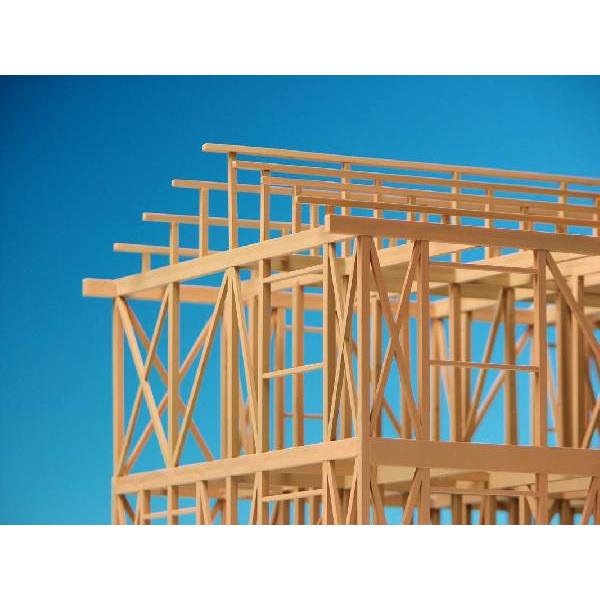 1/50 2級建築士設計製図試験対策木造軸組構法の基本(軸組模型+テキスト
