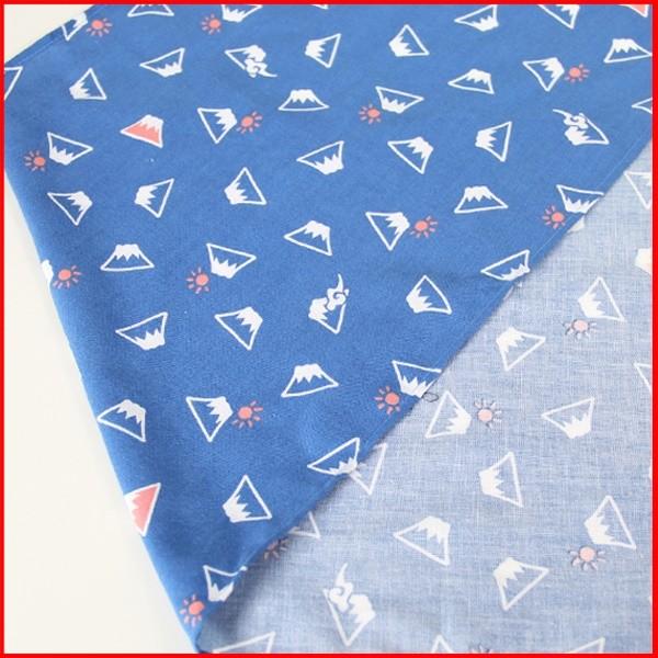 黒猫ふんどし 富士山(ふんどし 褌 フンドシ クラシックパンツ