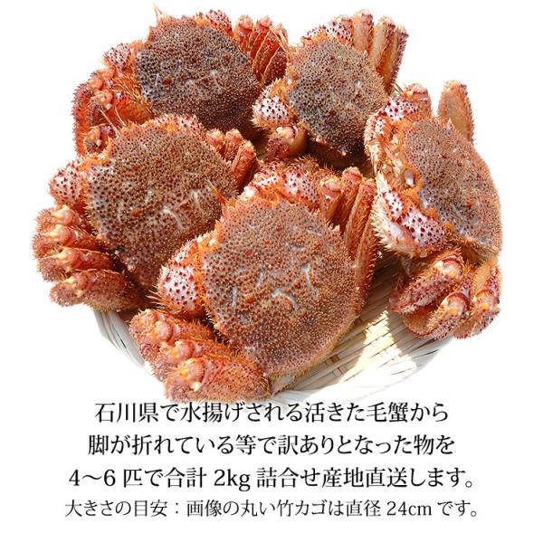規格外品　数量限定品　条件付き訳あり毛蟹2kg 送料無料 訳あり ボイル 毛ガニ 2kg詰 送料無料 沖縄は送料別途加算