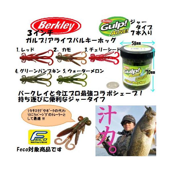 ガルプ バルキーホッグ3インチ PowerBait SW Bulky Hawg 3inch（パワー