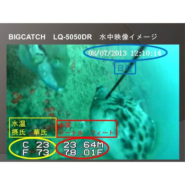 正規品」船用ビッグキャッチ 釣るとこみるぞう君 LQ-5050DR 水中