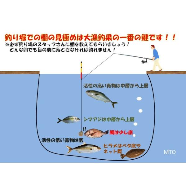 釣堀セットPROX 海上釣堀くわせ 360cm リール バルトム海上釣堀2 ロッドリールセット＋仕掛けセット /【Buyee】 Buyee -  Japanese Proxy Service | Buy from Japan!