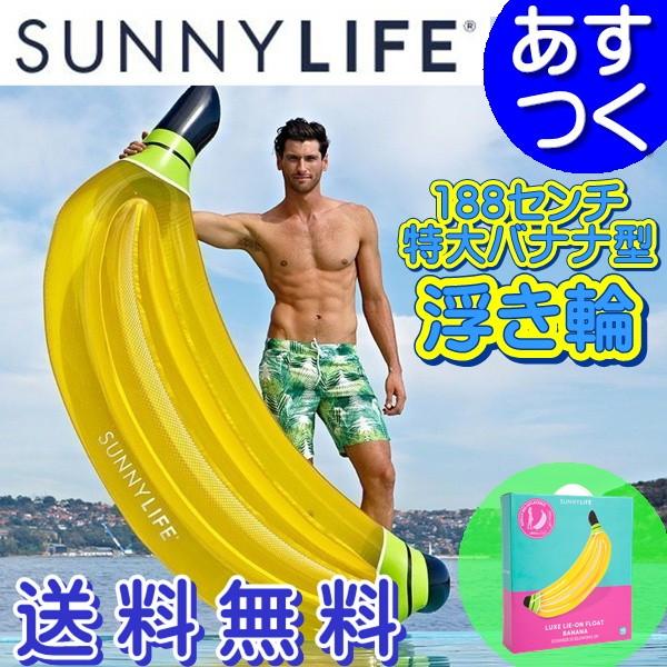 浮き輪 うきわ 大人用 子供用 特大 かわいい おしゃれ サニー