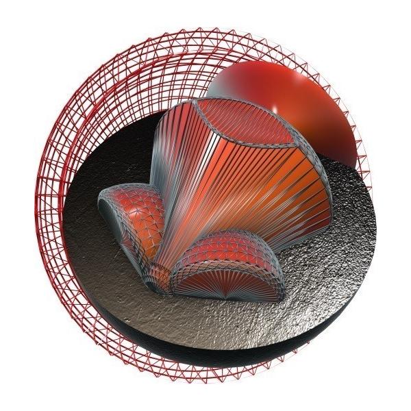 【新品】ハンマー社　ブラックウィドー　パープルパールウレタン HAMMER ブラックウィドー パープルパール・ウレタン ◎元箱有り