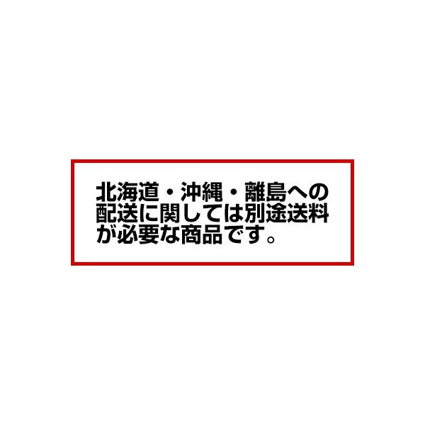 業務用 マルゼン 電気式卓上型 自動餃子焼器 鍋2個〔MAZE-44